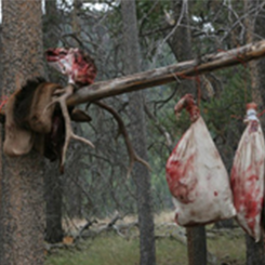 Meat Hanging