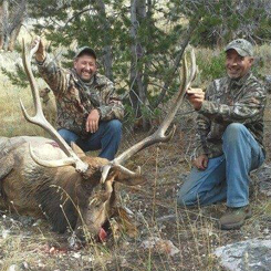 Two Guys with Hunted Elk