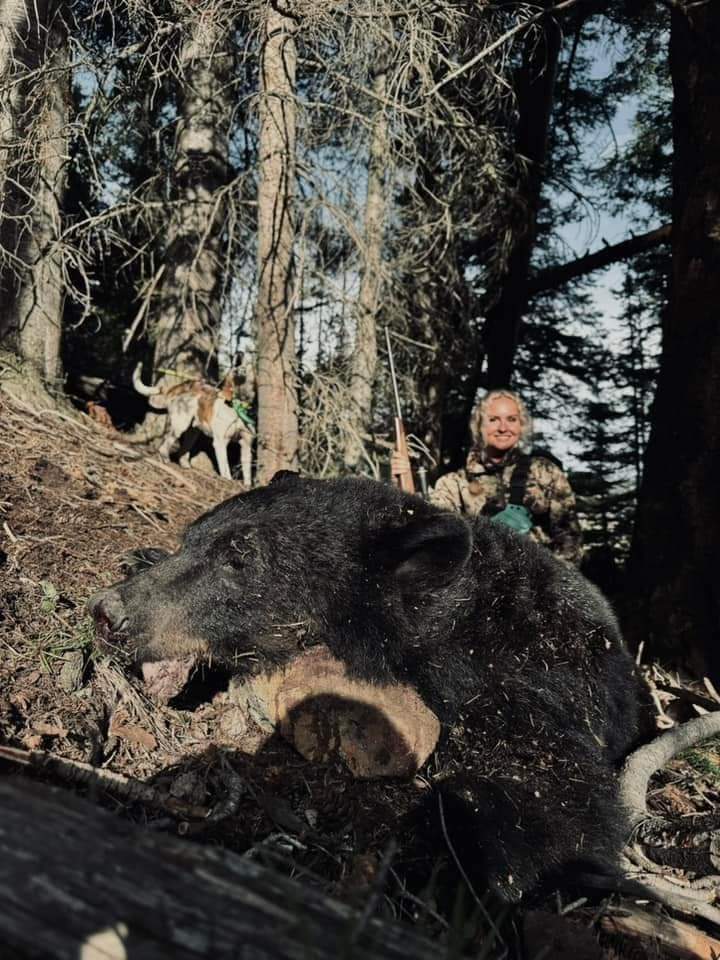 Hunted Bear 2